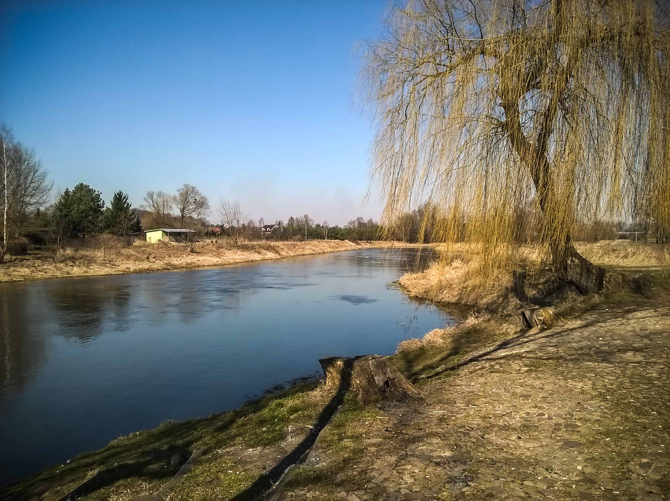 WP_20150318_11_52_27_Pro