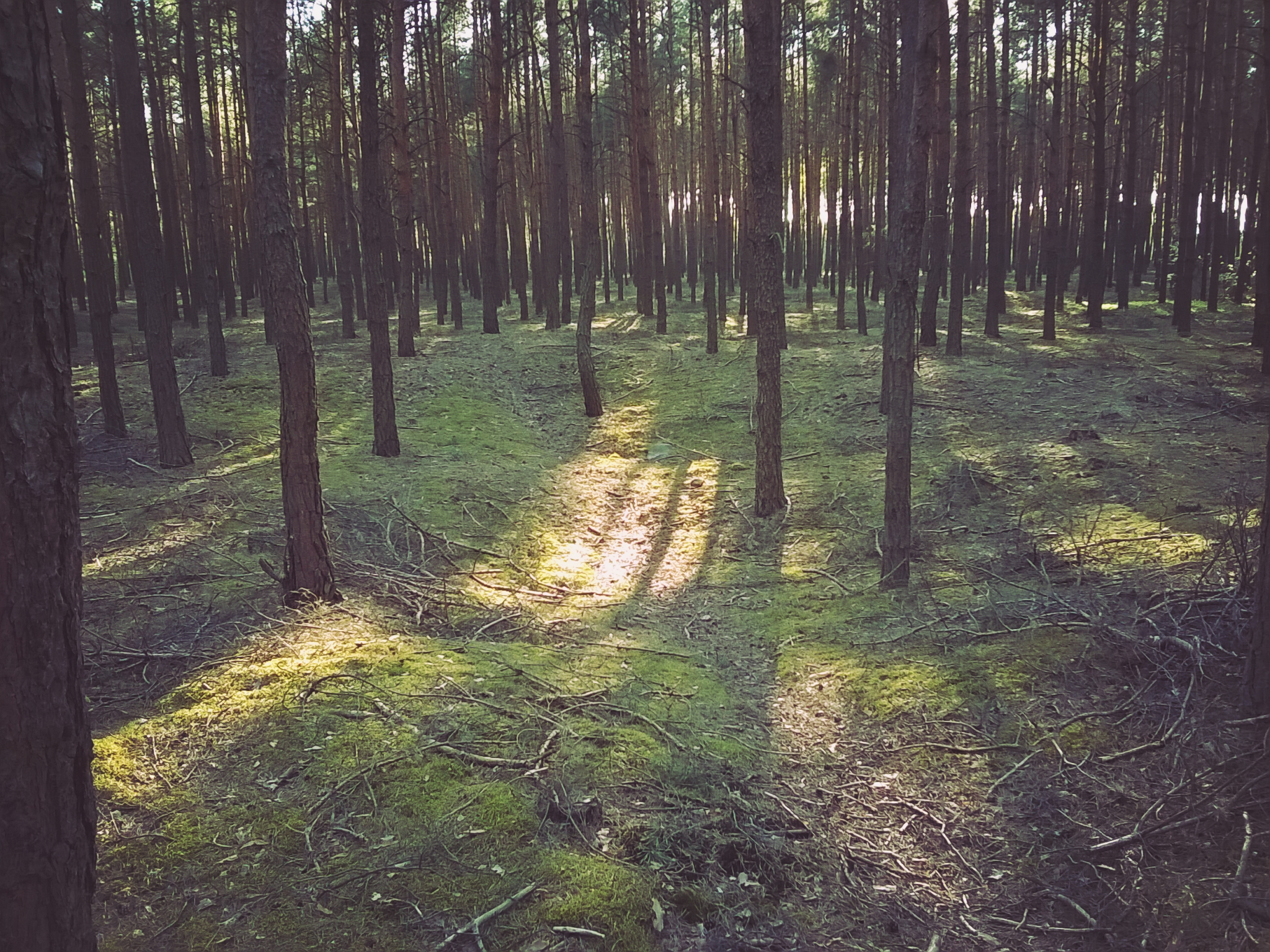 Sight_2015_05_03_175812_733